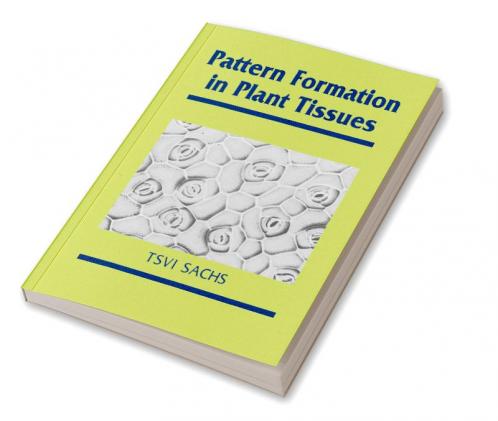 Pattern Formation in Plant Tissues