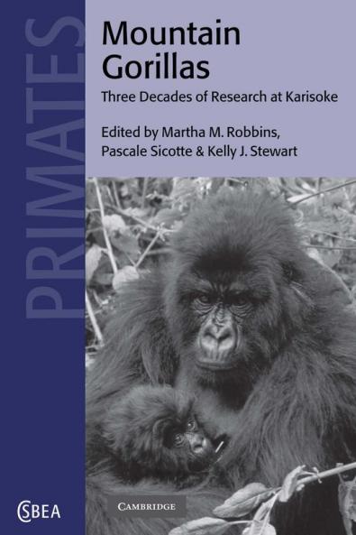 Mountain Gorillas