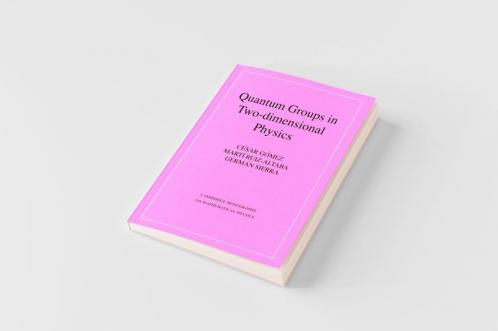 Quantum Groups in Two-Dimensional Physics
