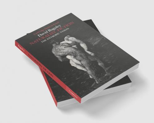 Naturalist Fiction