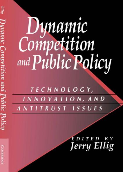 Dynamic Competition and Public Policy
