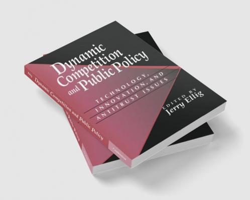 Dynamic Competition and Public Policy