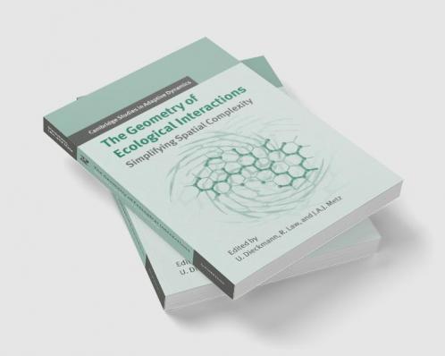 The Geometry of Ecological Interactions