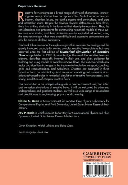 Numerical Simulation of Reactive Flow