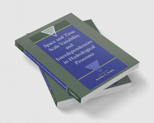 Space and Time Scale Variability and Interdependencies in Hydrological Processes