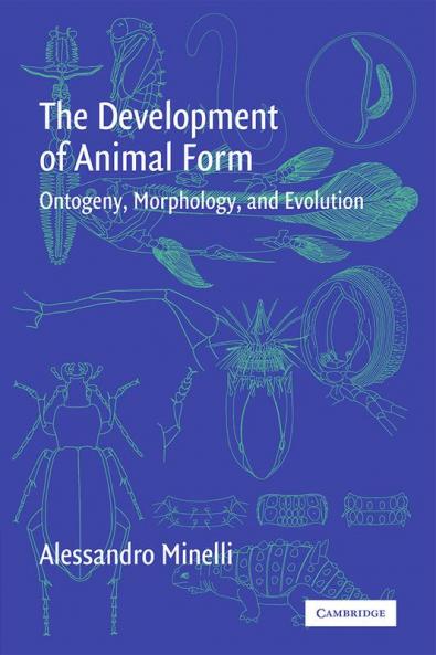 The Development of Animal Form