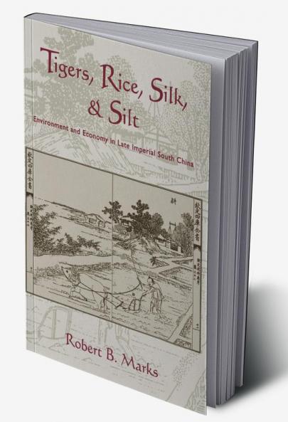 Tigers Rice Silk and Silt