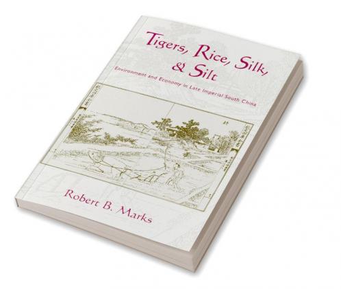 Tigers Rice Silk and Silt