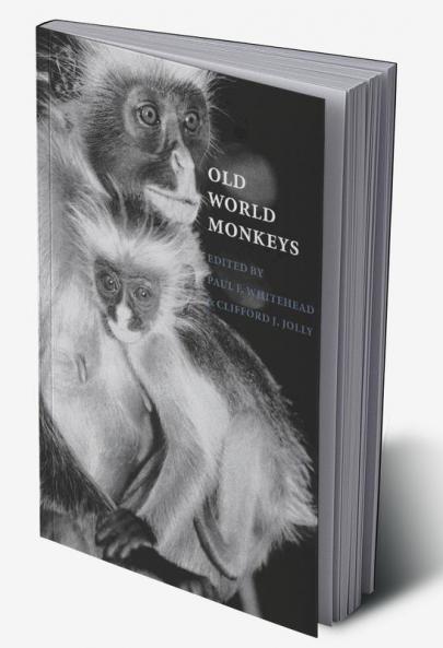 Old World Monkeys