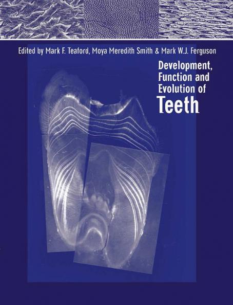 Development Function and Evolution of Teeth
