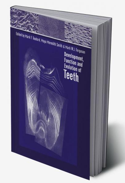Development Function and Evolution of Teeth