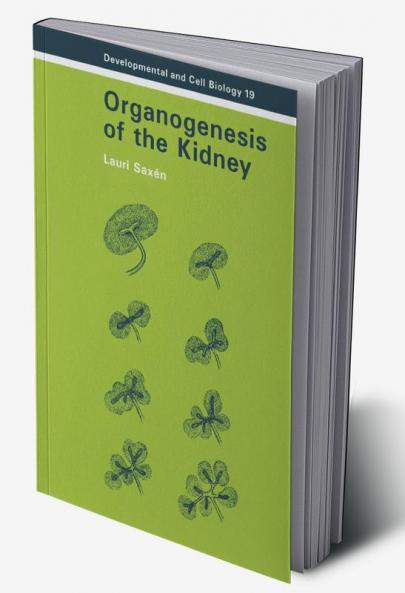 Organogenesis of the Kidney