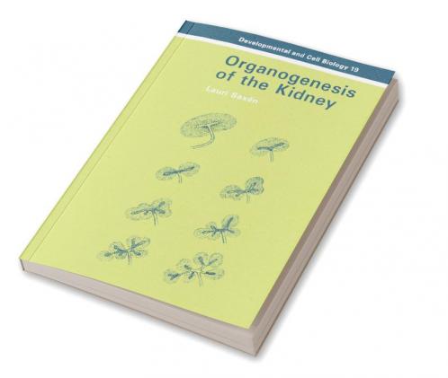 Organogenesis of the Kidney