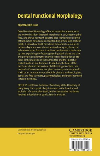 Dental Functional Morphology