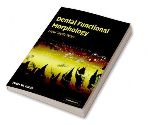 Dental Functional Morphology