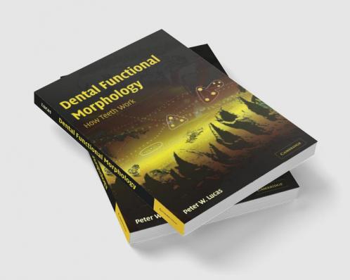 Dental Functional Morphology