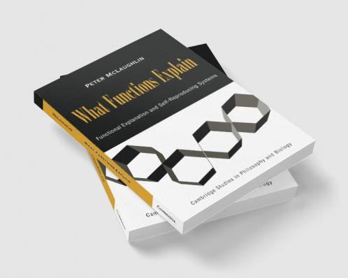What Functions Explain