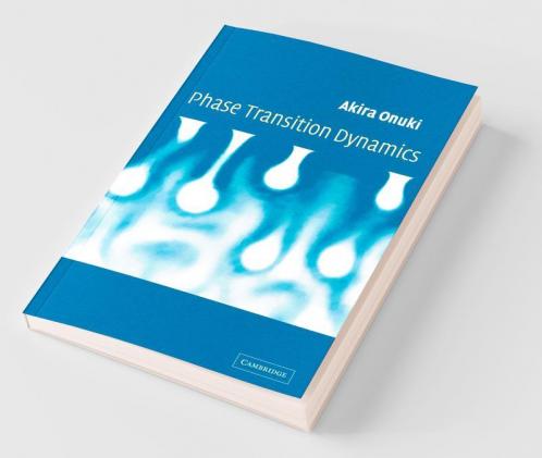 Phase Transition Dynamics