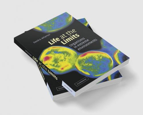 Life at the Limits