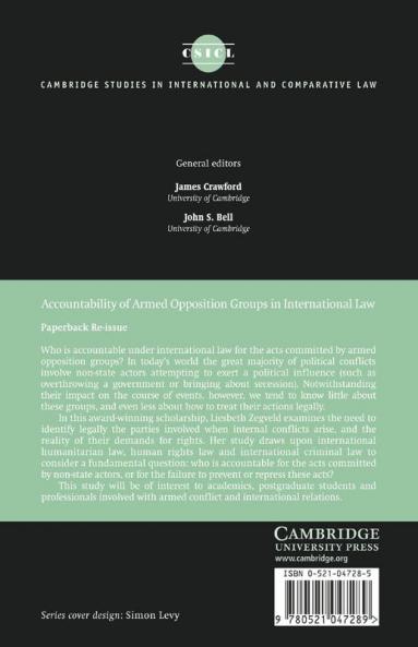Accountability of Armed Opposition Groups in International Law