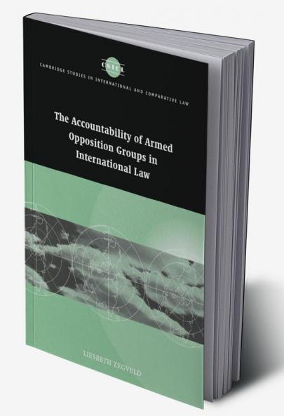 Accountability of Armed Opposition Groups in International Law