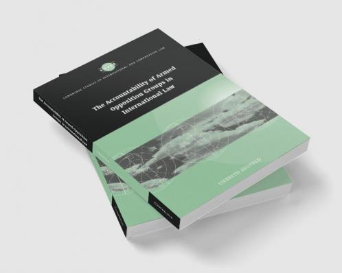 Accountability of Armed Opposition Groups in International Law