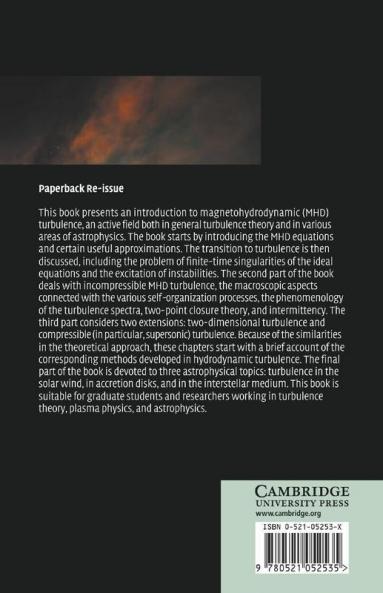 Magnetohydrodynamic Turbulence