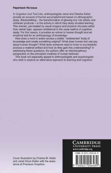 Cognition and Tool Use