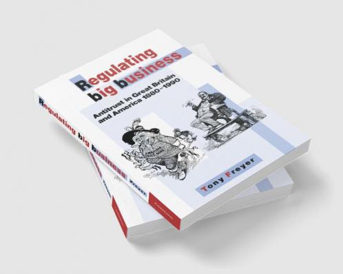 Regulating Big Business