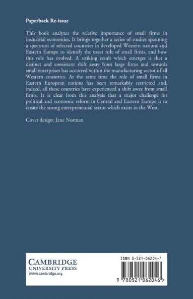 Small Firms and Entrepreneurship