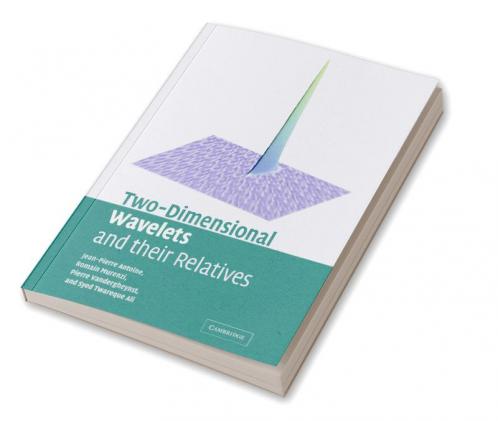 Two-Dimensional Wavelets and Their Relatives