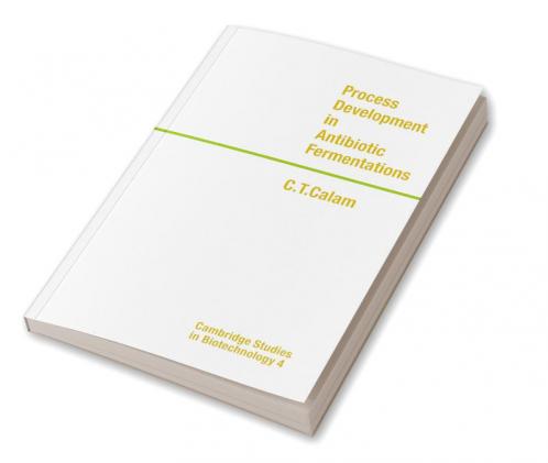 Process Development in Antibiotic Fermentations