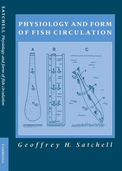 Physiology and Form of Fish Circulation