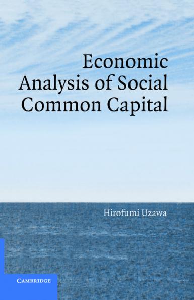 Economic Analysis of Social Common Capital