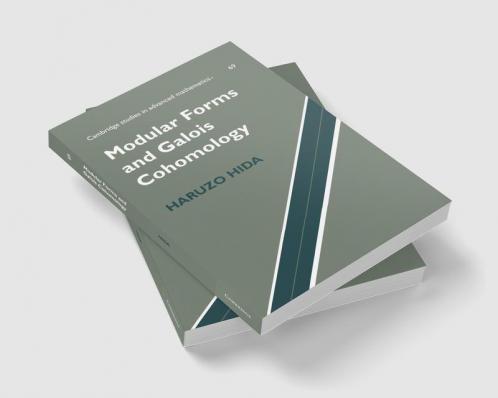 Modular Forms and Galois Cohomology