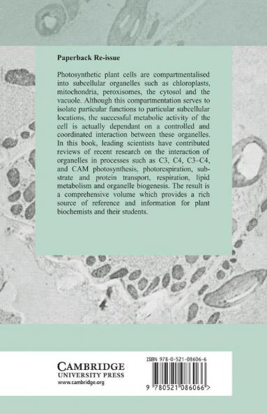 Plant Organelles