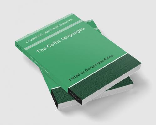 The Celtic Languages