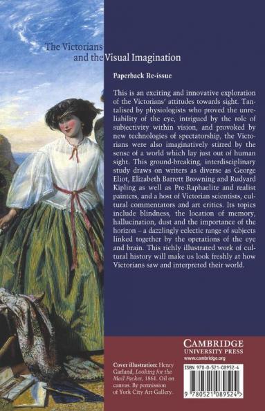 The Victorians and the Visual Imagination