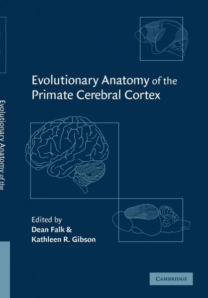 Evolutionary Anatomy of the Primate Cerebral Cortex