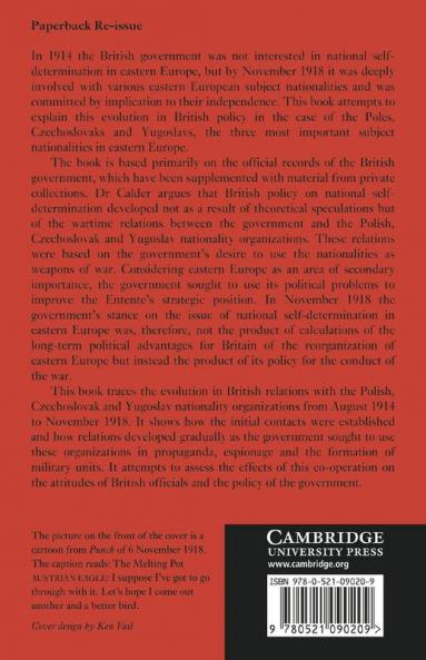 Britain and the Origins of the New Europe 1914 1918