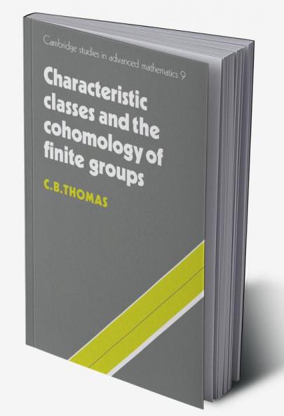 Characteristic Classes and the Cohomology of Finite Groups