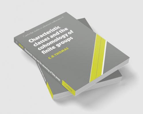 Characteristic Classes and the Cohomology of Finite Groups