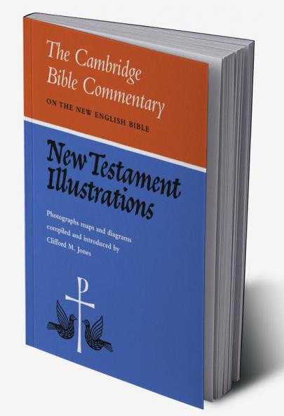 New Testament Illustrations