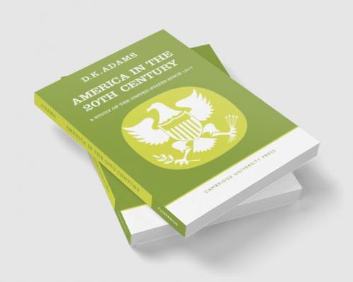 America in the Twentieth Century