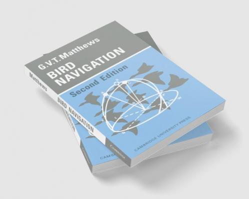 Bird Navigation