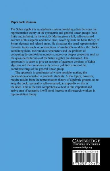 Schur Algebras and Representation Theory