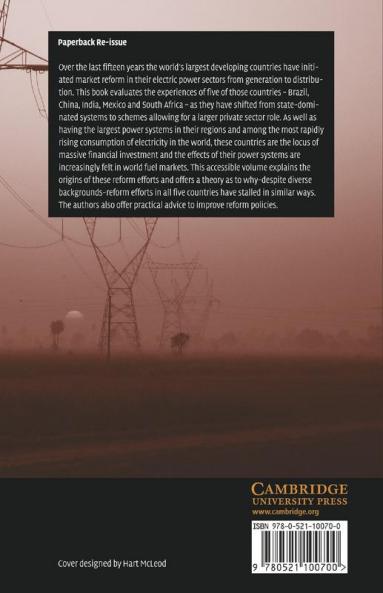The Political Economy of Power Sector Reform