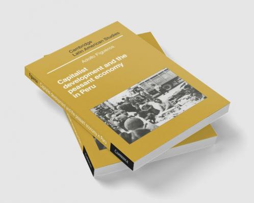 Capitalist Development and the Peasant Economy in Peru