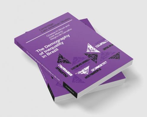 The Demography of Inequality in Brazil