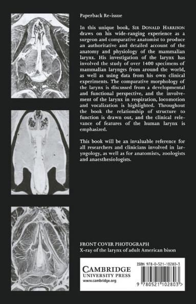 The Anatomy and Physiology of the Mammalian Larynx
